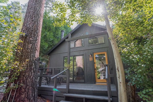 Idyllwild Cabin 11